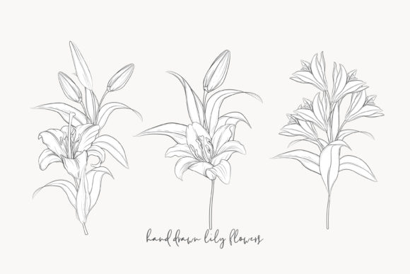 Download Illustration Floral Bouquet Set - Premium Resources